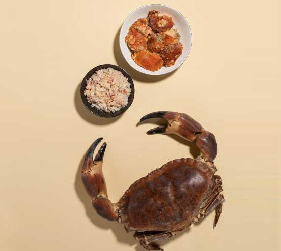 carne de buey desmigada